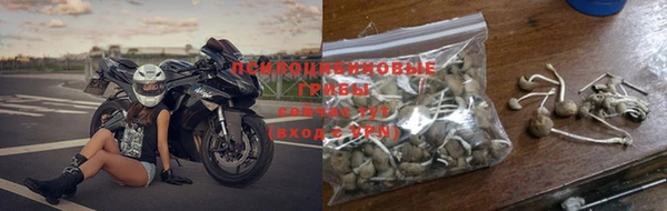 герыч Бородино