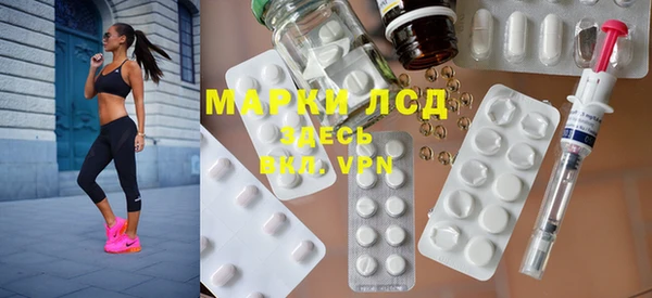 прущие грибы Бугульма